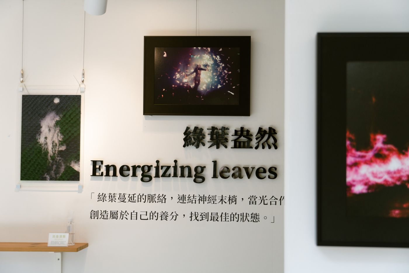 台中展覽 台中展覽住宿提案：看完綠宿行旅《垂直策展》後，順遊草悟道與國美館