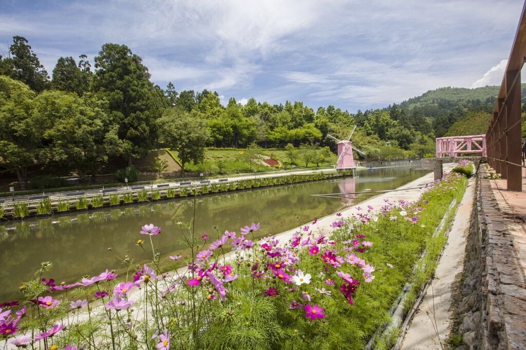 swiss-garden (1)